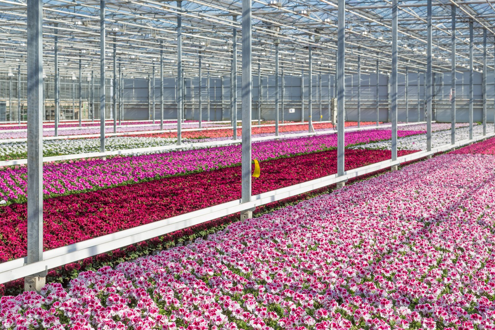 Greenhouse irrigation system