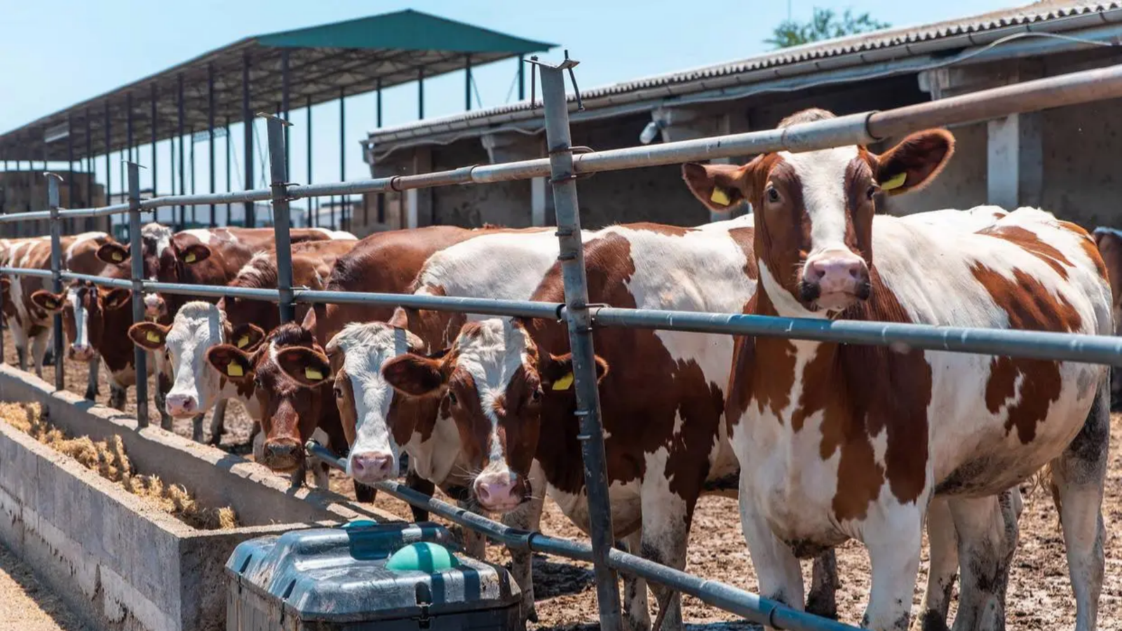 43fecf4a-6082-4742-be7f-0971fd6c6aca