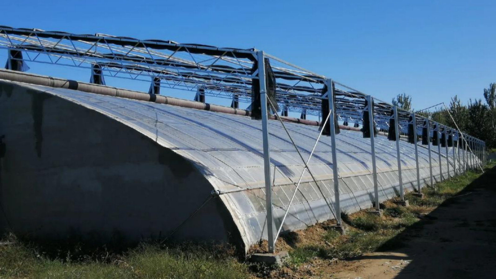 d5c0e7c1-49e7-424e-9d99-da385240ff80