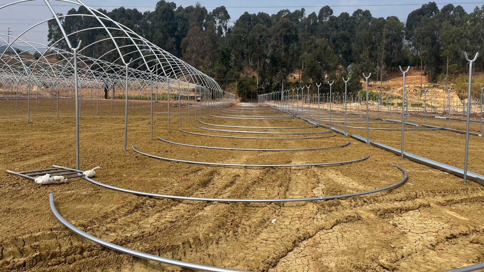 微信图片_2026-03-30_091201_714