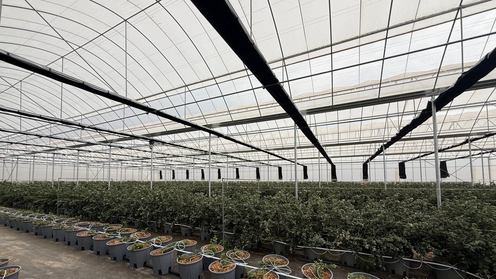 微信图片_20260308132140_56_2010