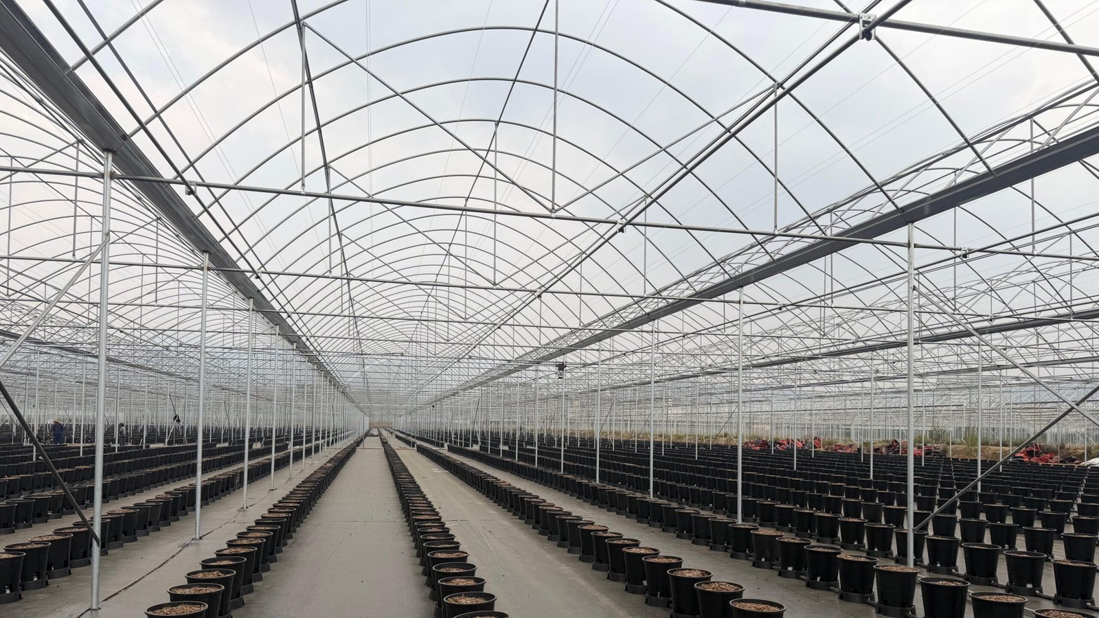 微信图片_20260308134515_69_2010