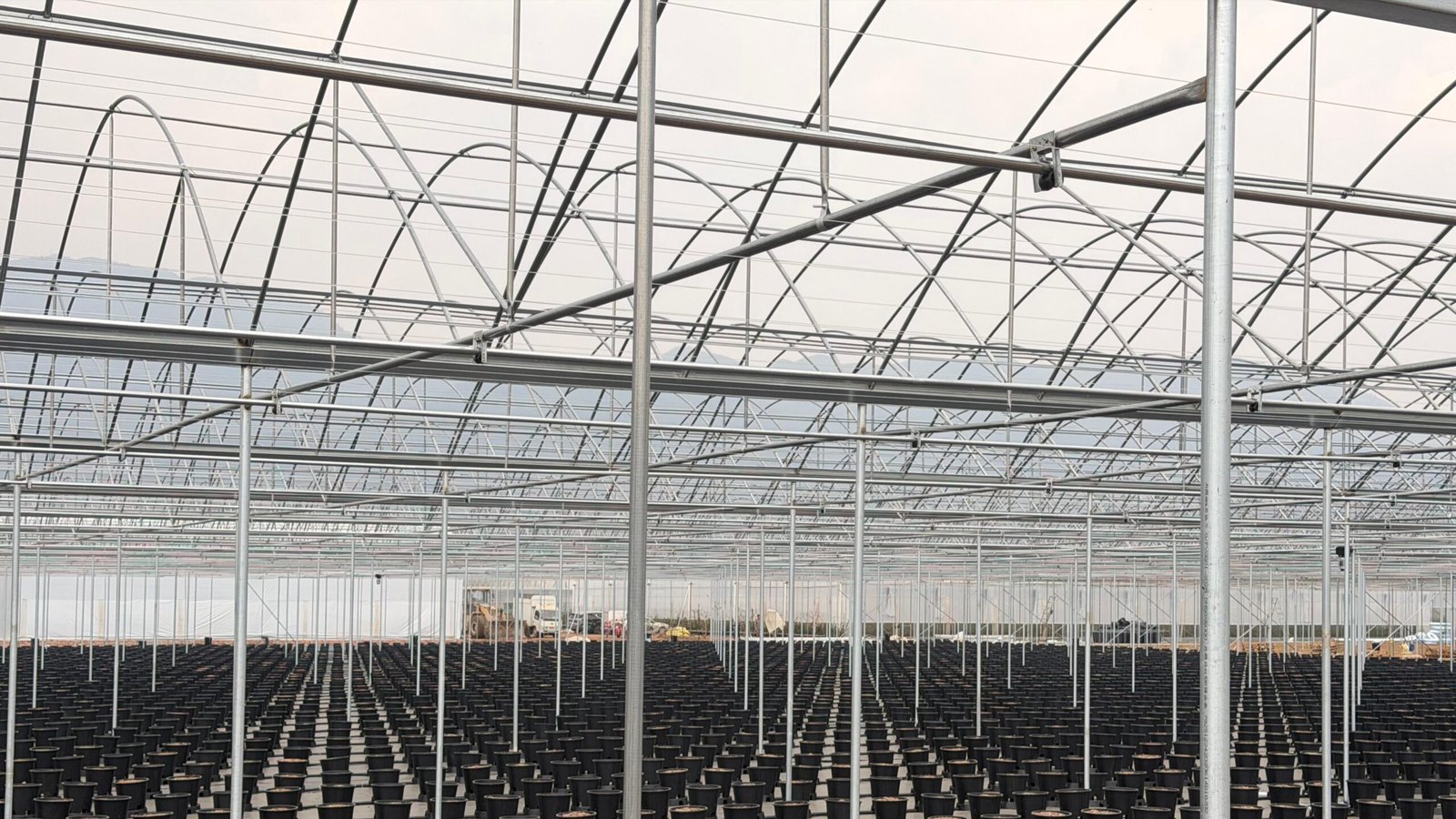 微信图片_20260308134518_70_2010