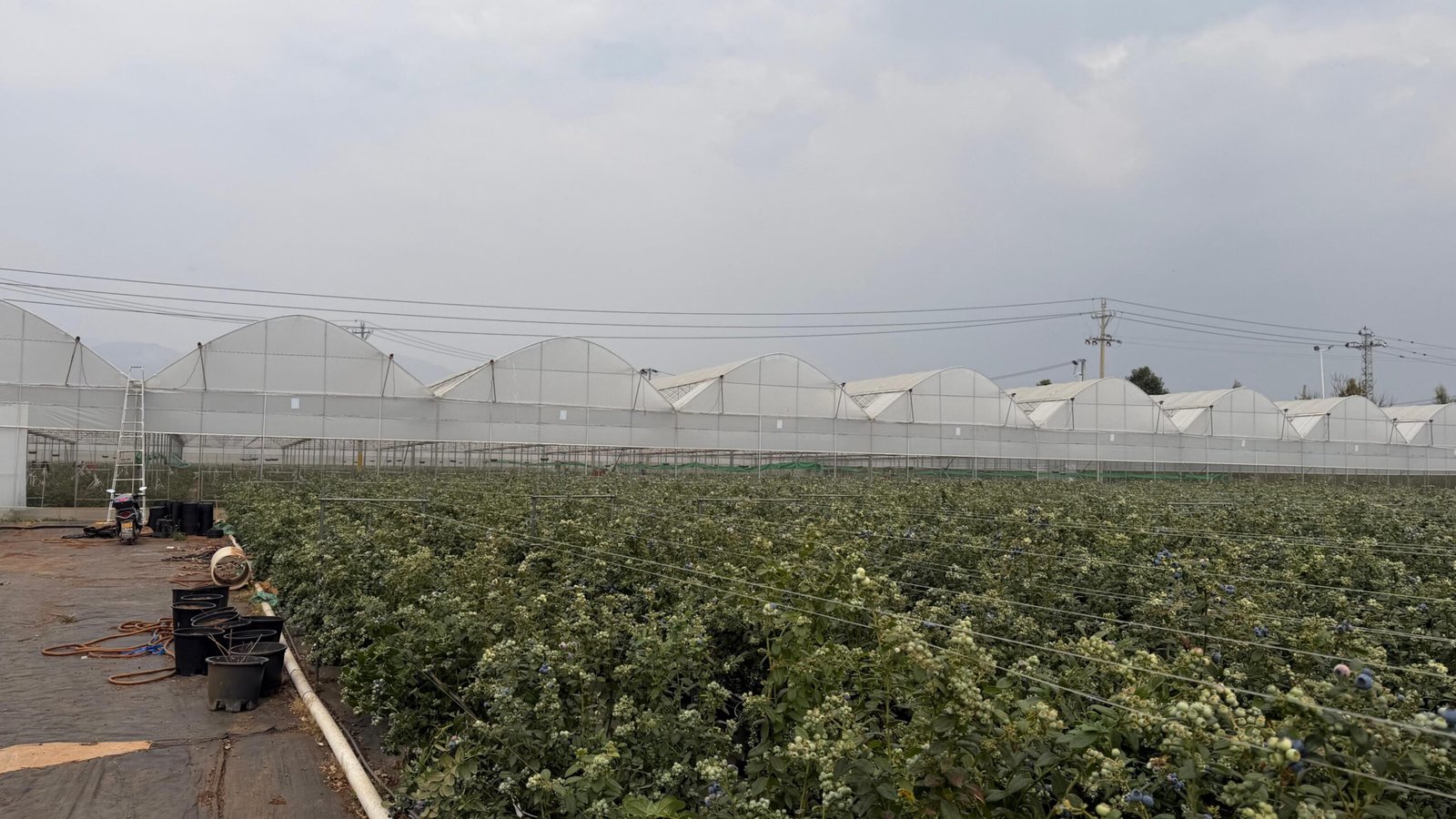 微信图片_20260308140902_76_2010