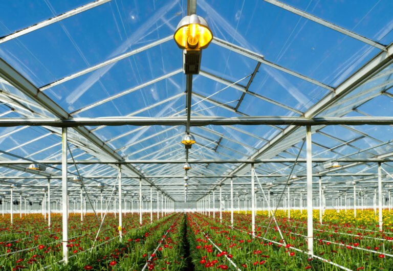 commercial greenhouse