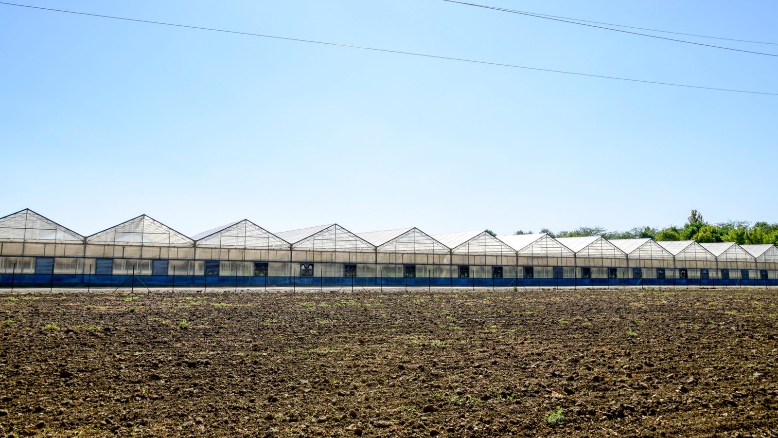 摄图网_377266528_聚碳酸酯温室蔬菜种植大棚群(非企业商用)