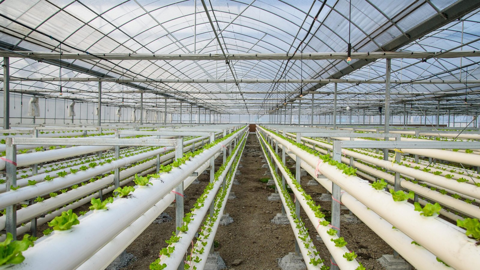 摄图网_500790101_冬季有机大棚(非企业商用)