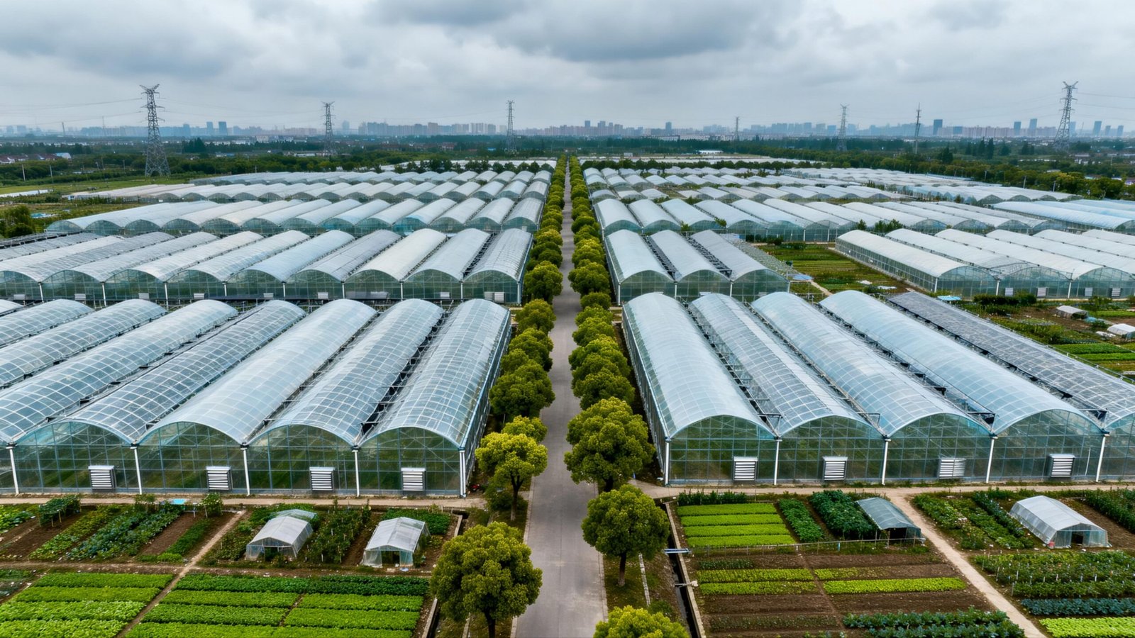 连栋薄膜温室-2 (2)