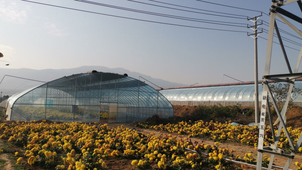 Tunnel Greenhouse