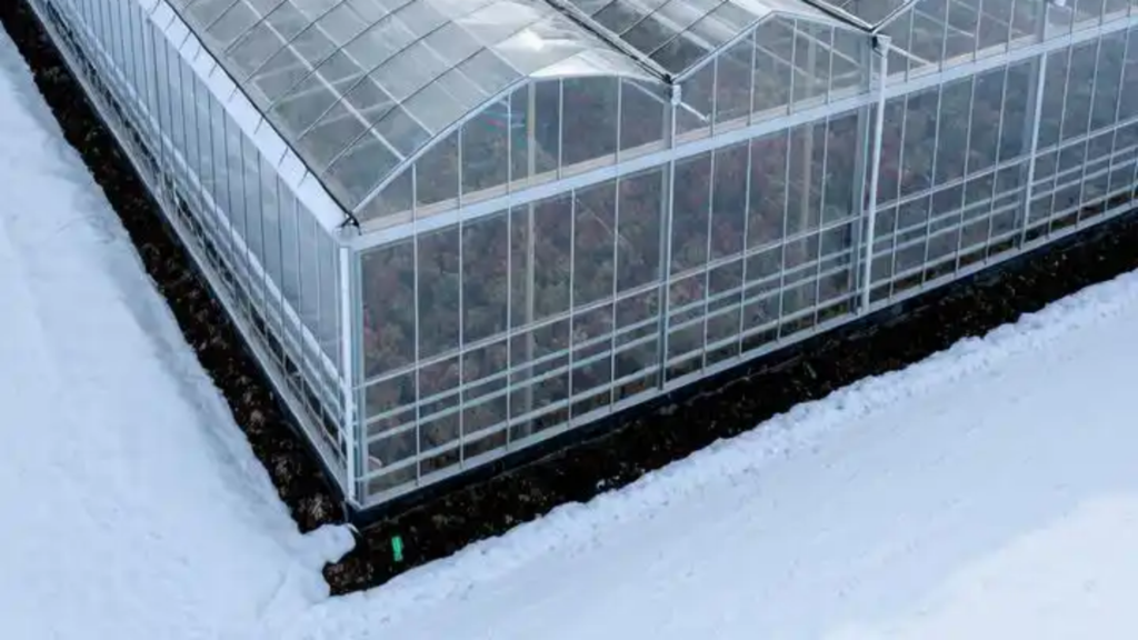 Greenhouse