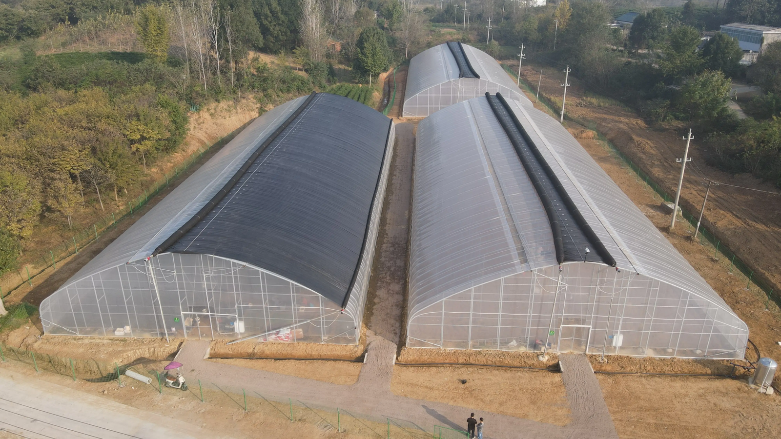 Tunnel Greenhouse