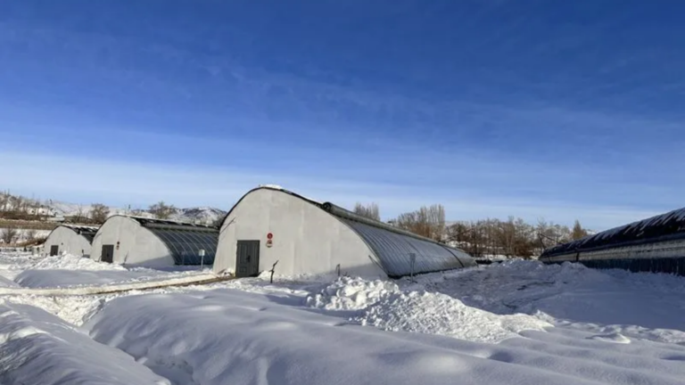 greenhouse