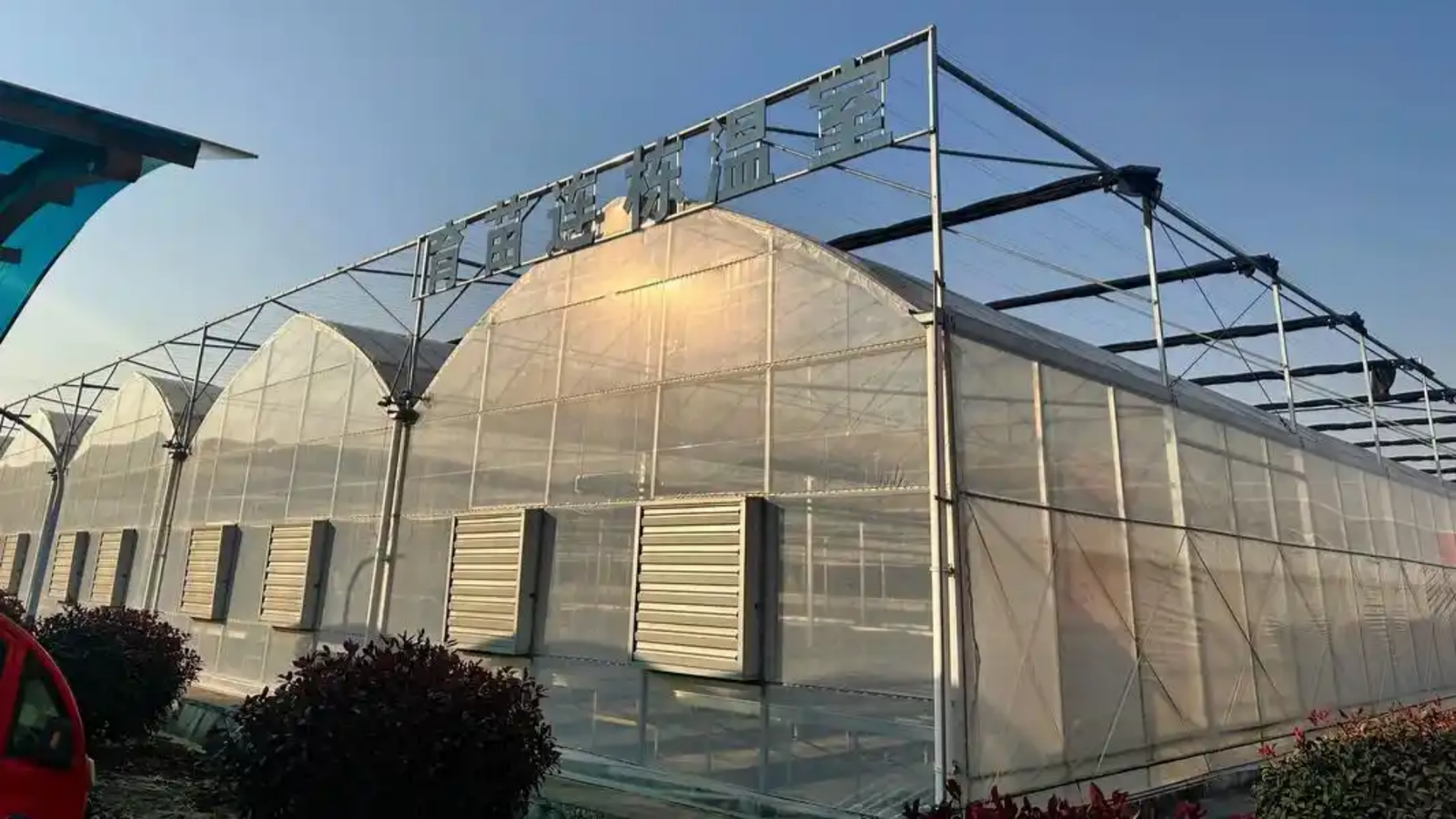 Multi-Span Greenhouse