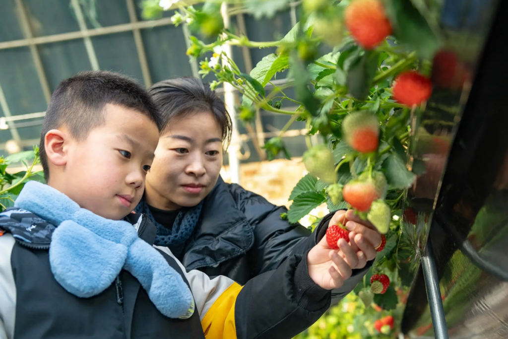 Airborne Strawberry Greenhouse