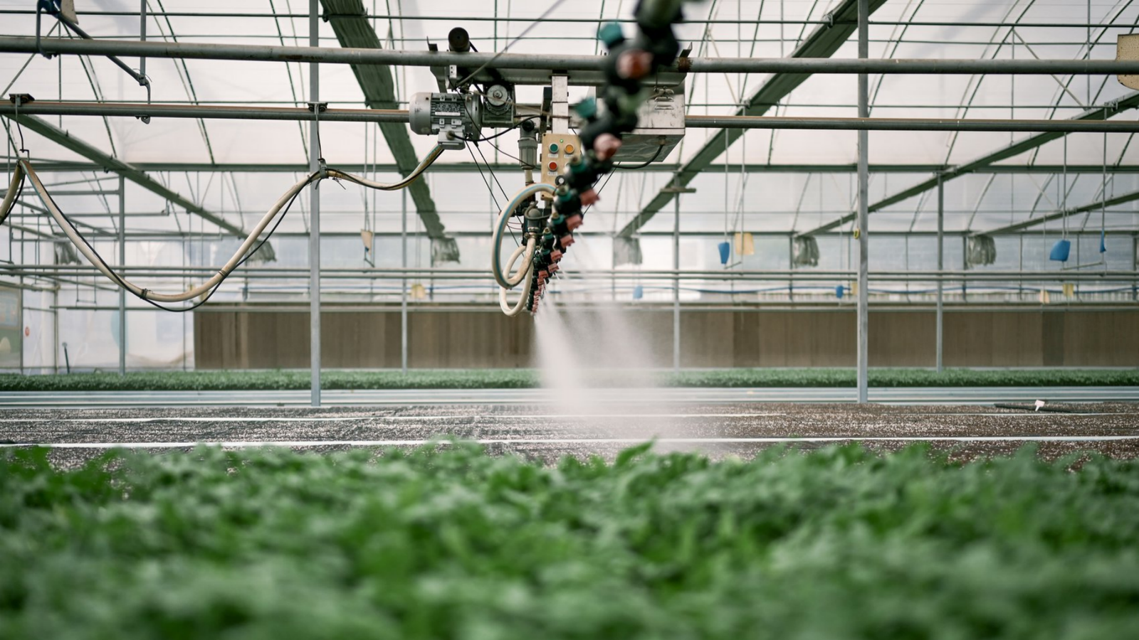 Greenhouse Irrigation System