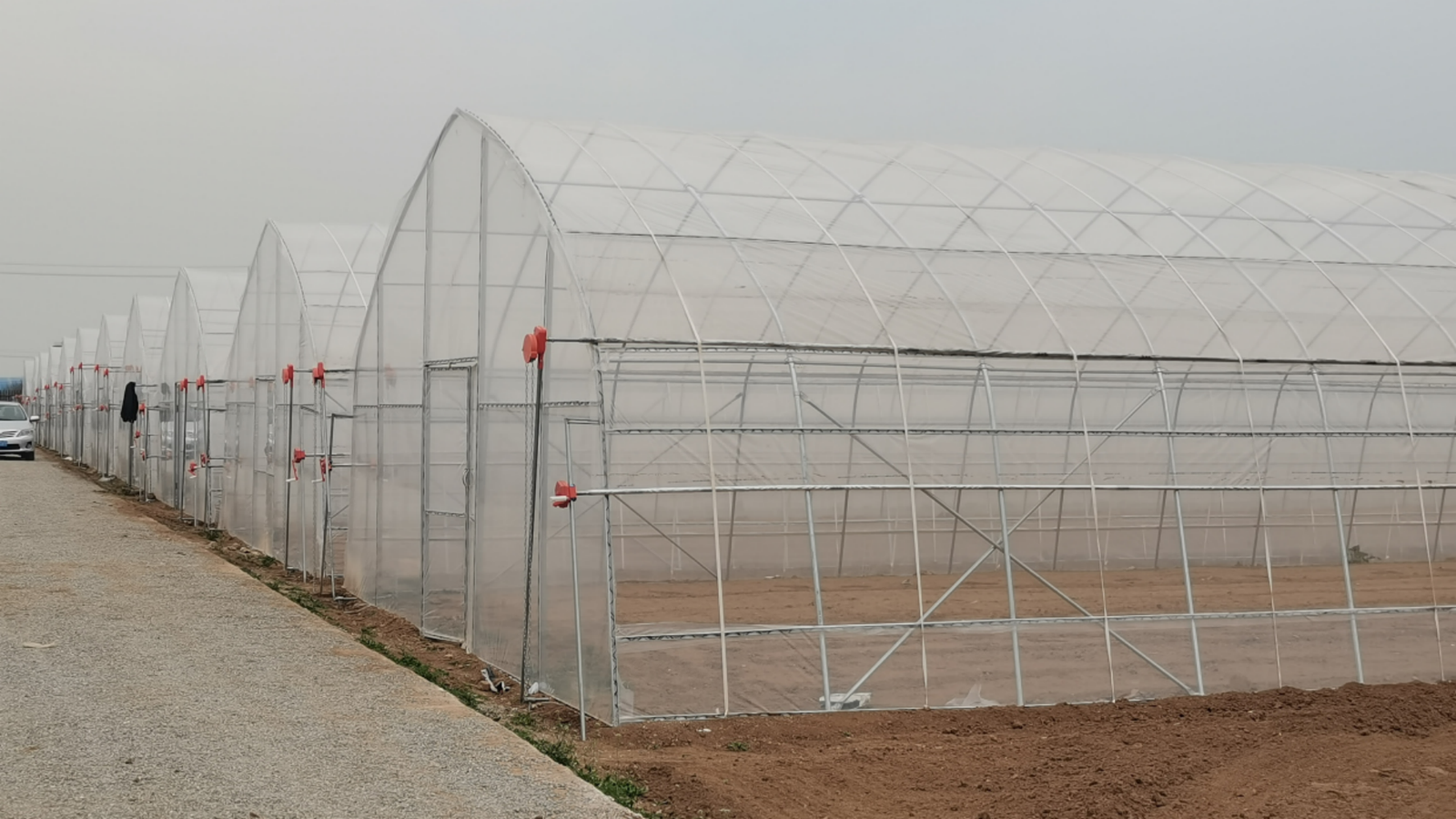 Tunnel Greenhouse