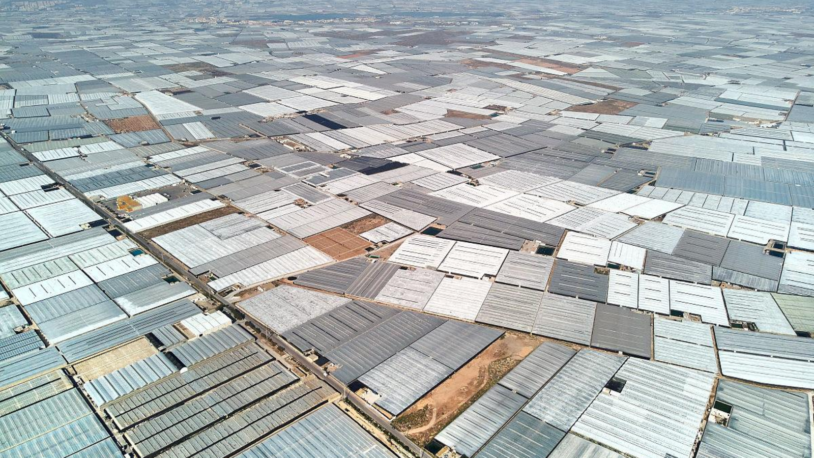 uneven span greenhouse