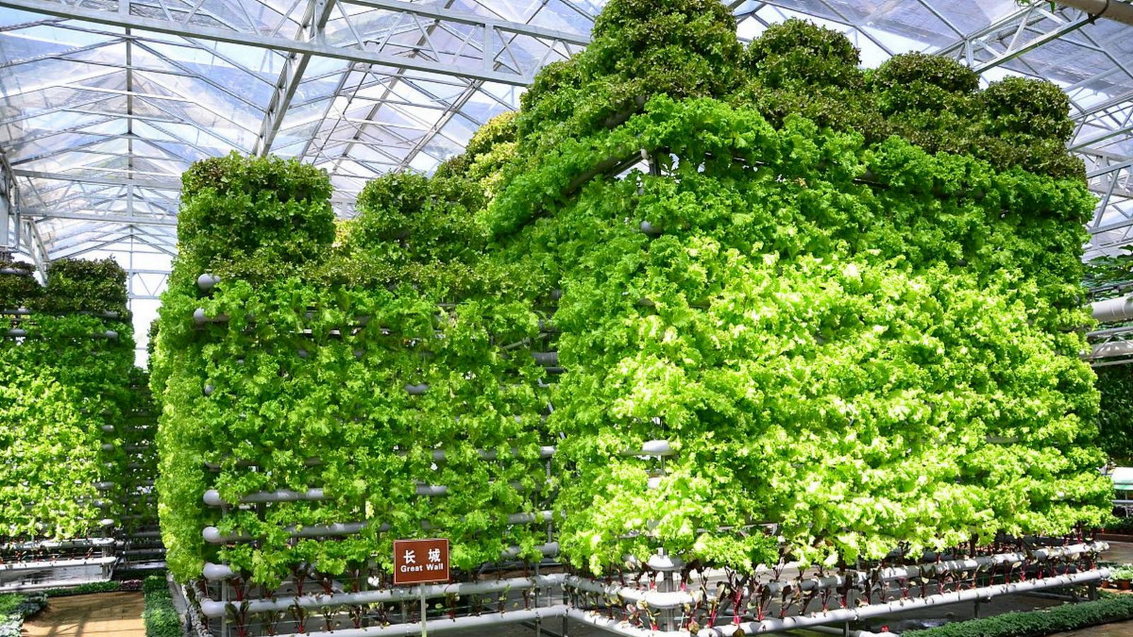 Three-dimensional Agriculture