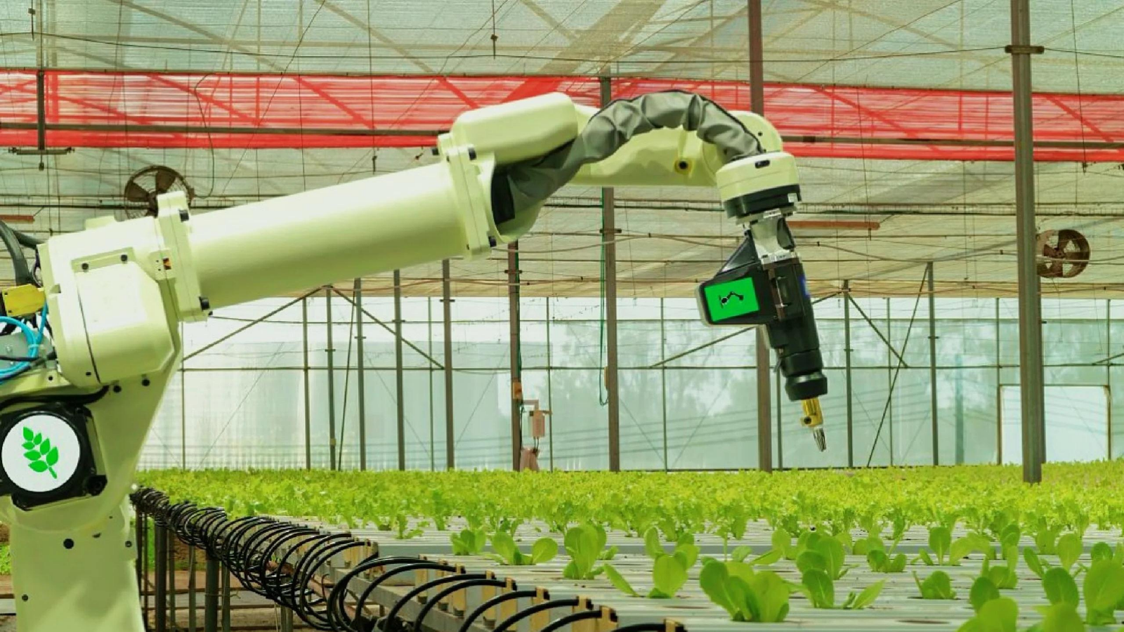 Greenhouse Automation and Intelligence