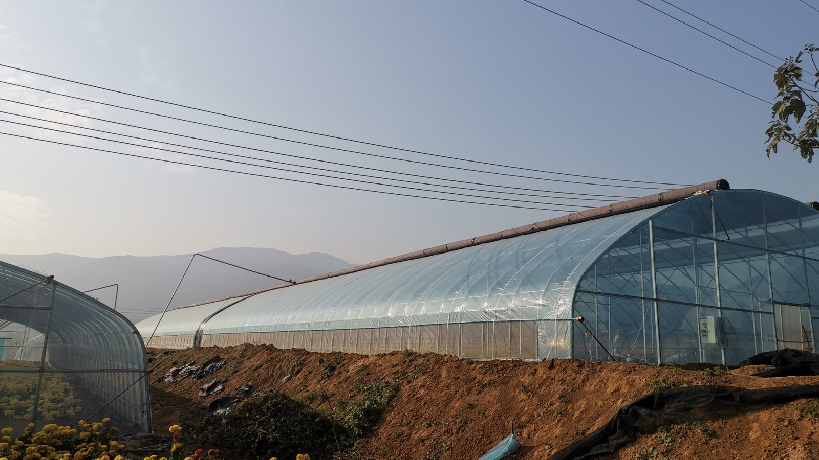 Tunnel Greenhouse