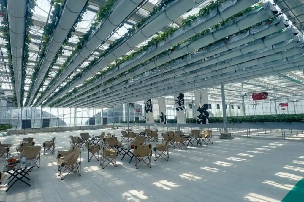 Airborne Strawberry Greenhouse
