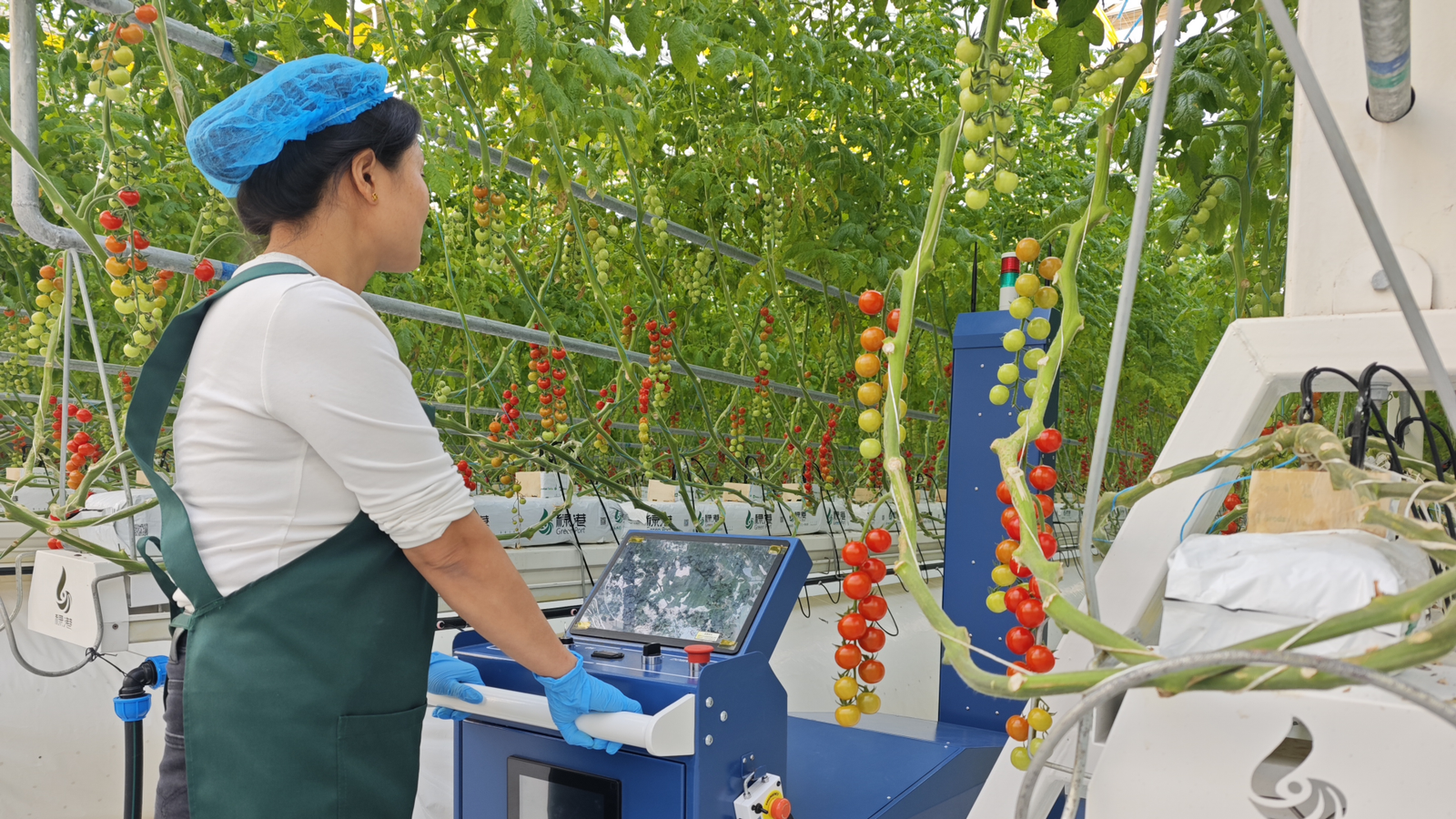 Intelligent Greenhouse System