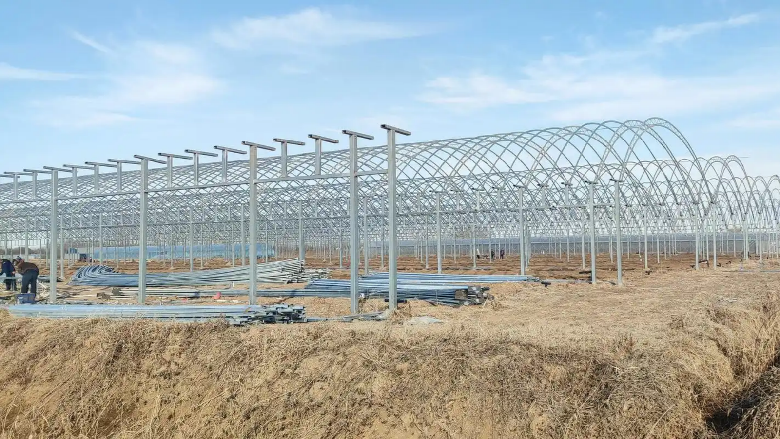 Multi-Span Film Greenhouses