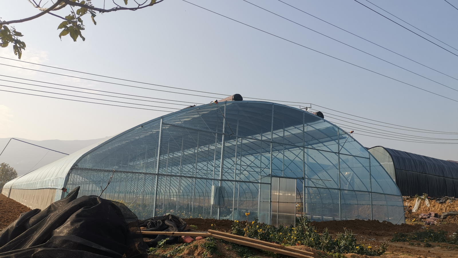Tunnel Greenhouse