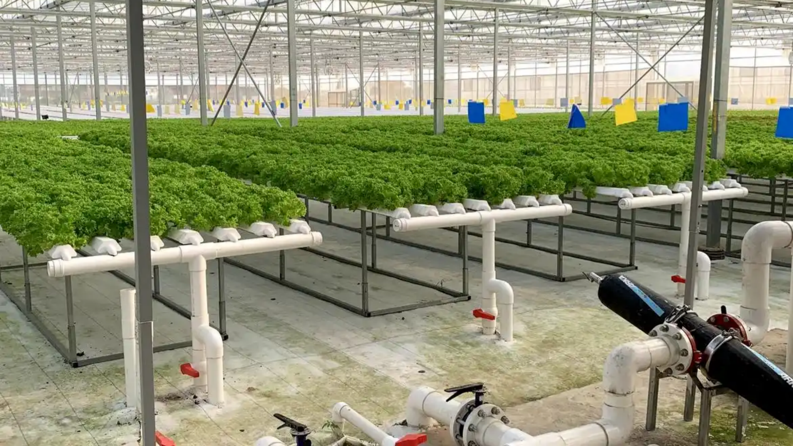 Hydroponic greenhouse