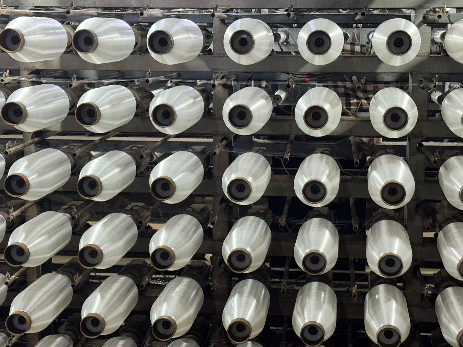 Insect Net Manufacturing Factory