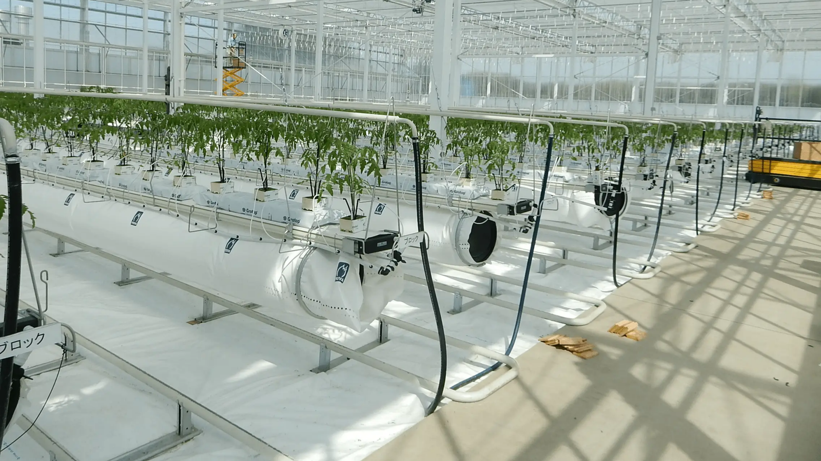 Hydroponic greenhouse