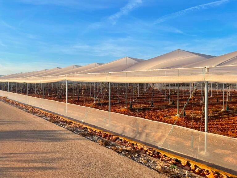 Net House Greenhouse
