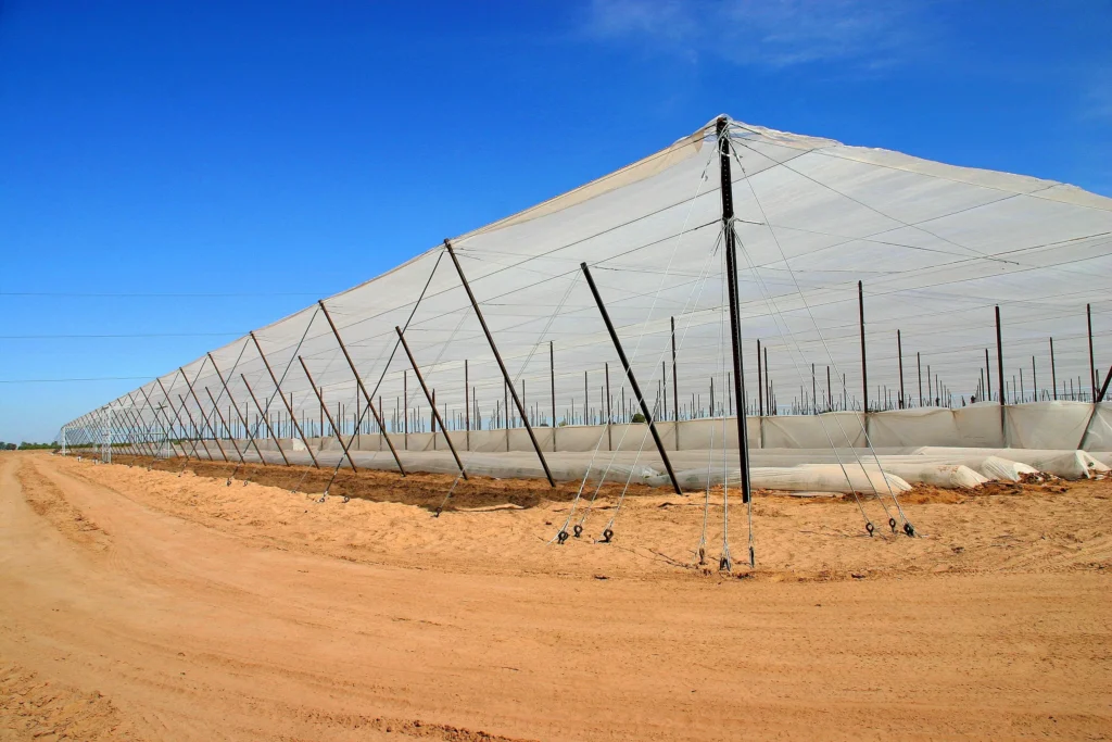 Net House Greenhouse