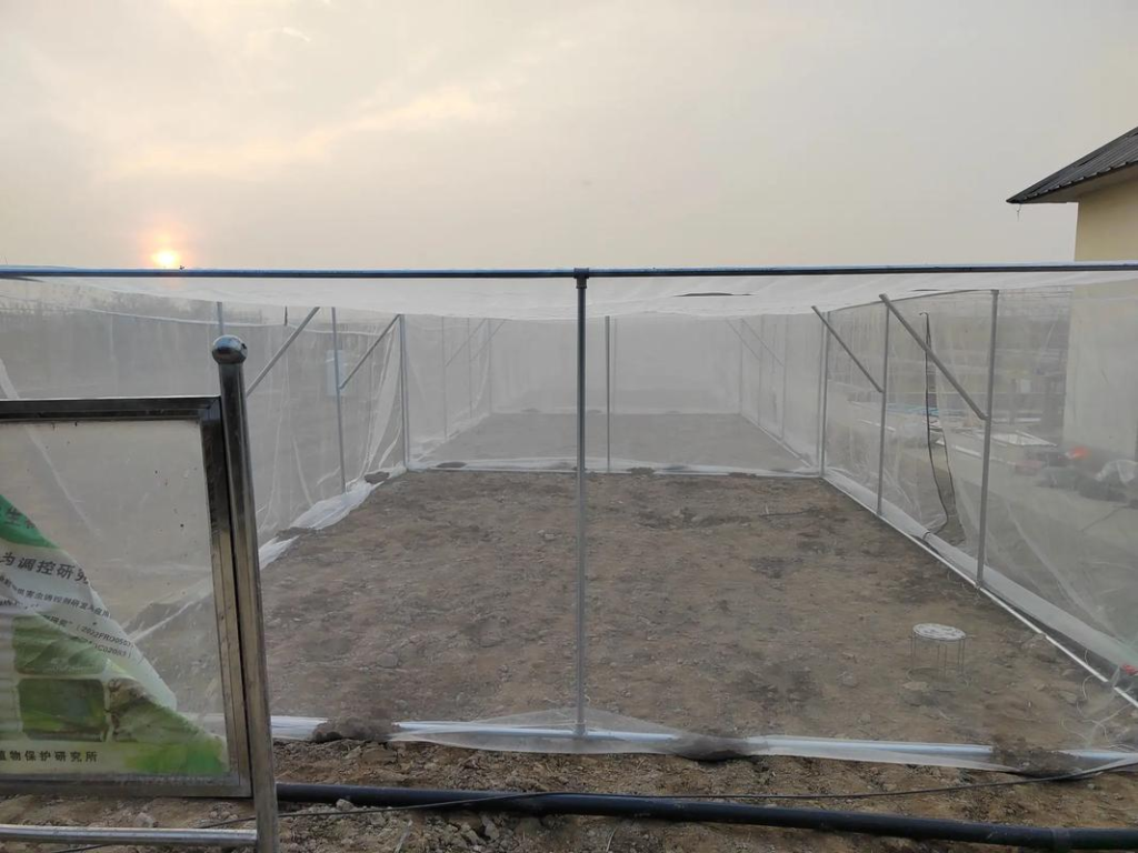 Applications of Insect Netting