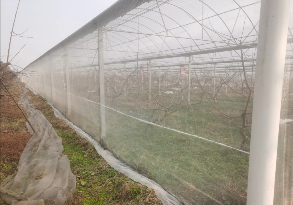 Applications of Insect Netting