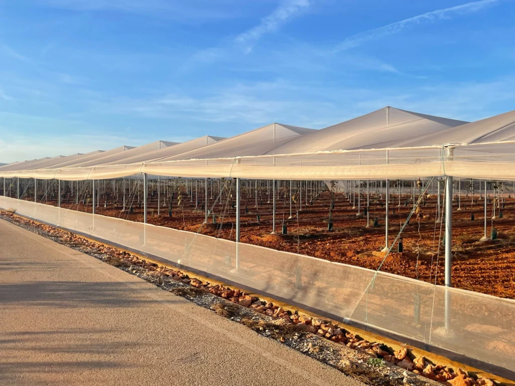 Net greenhouse exterior