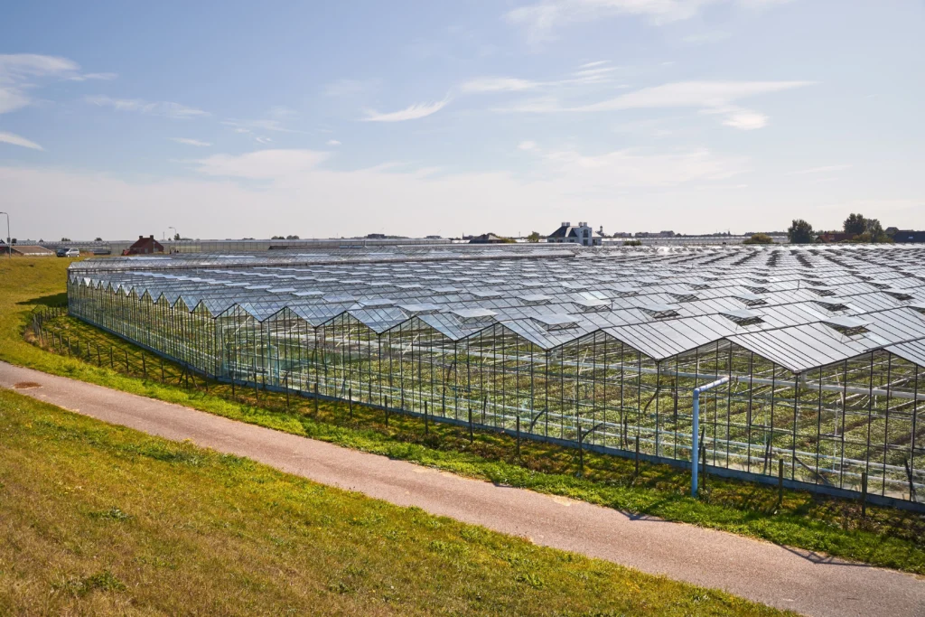 Glass greenhouse exterior